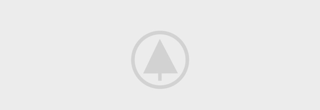 wood portfolio placeholder
