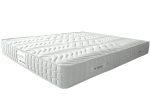 coral11 600x436 1